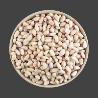 Pinienkerne 1,5kg Eimer