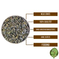 K&uuml;rbiskerne 500g