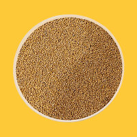 Senfkörner gelb 250g